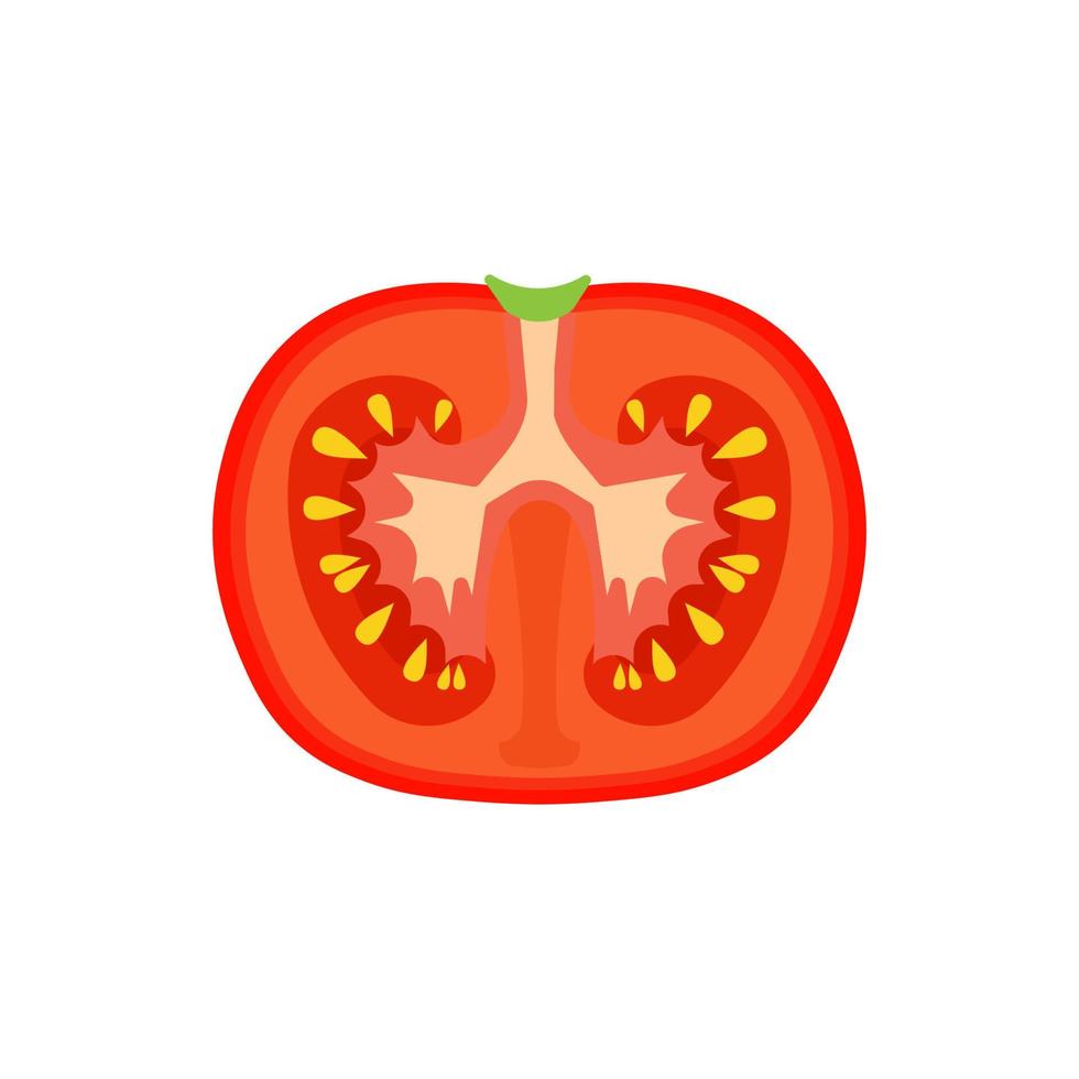 tomaat vegetarische natuurlijke geïsoleerde oogst vector. zomer eten natuur rode groente koken. smakelijke illustratie veganistische verse biologische achtergrond. plant pictogram cartoon kleur object. product salade eten vector