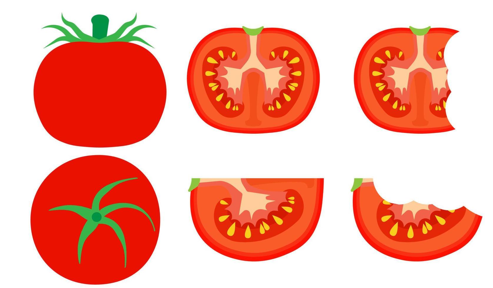 tomaat vegetarische natuurlijke geïsoleerde oogst vector. zomer eten natuur rode groente koken. smakelijke illustratie veganistische verse biologische achtergrond. plant pictogram cartoon kleur object. weergave productset vector