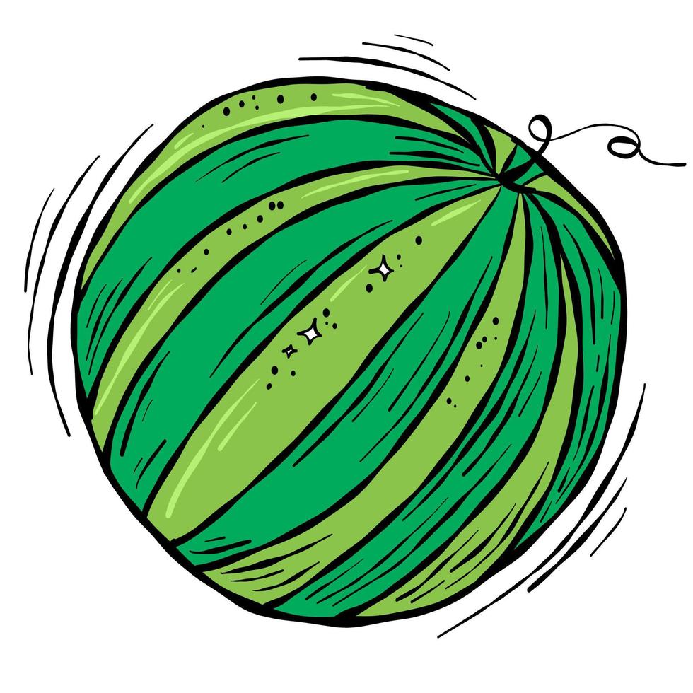 handgetekende schets met watermeloen vector