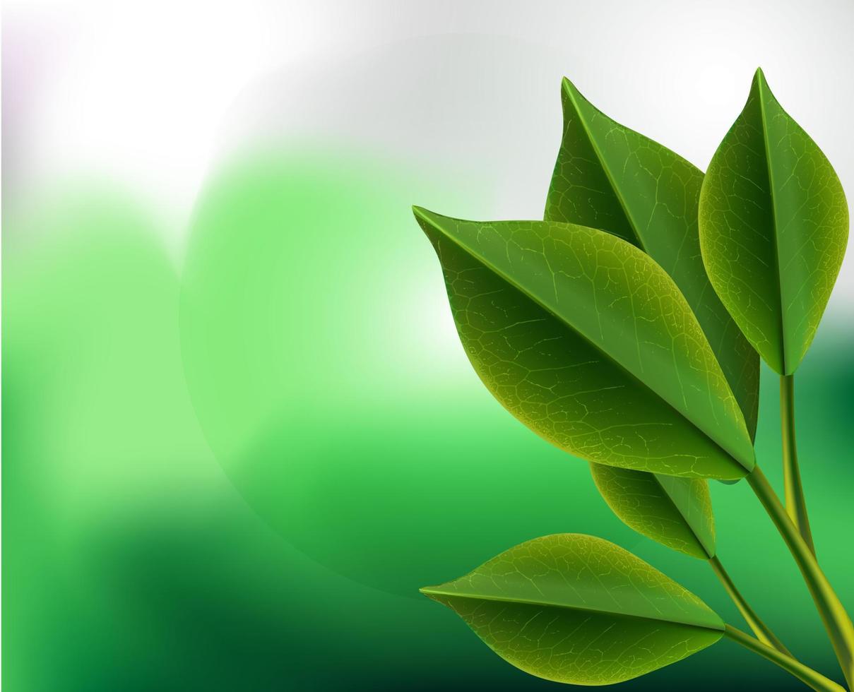 realistische 3d thee groene bladeren vectorillustratie als achtergrond. close-up natuur ontwerp geïsoleerde plant set vector
