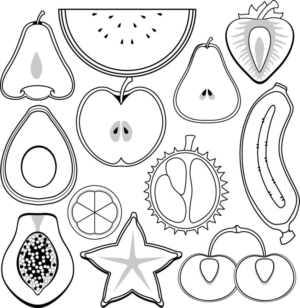 een set van doodle over fruit op witte achtergrond vector