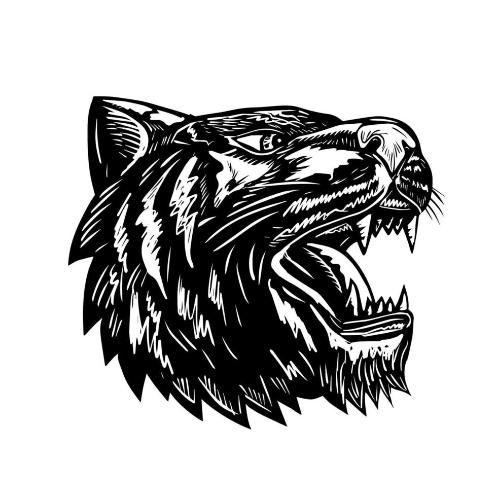 tijger grommend scratchboard vector