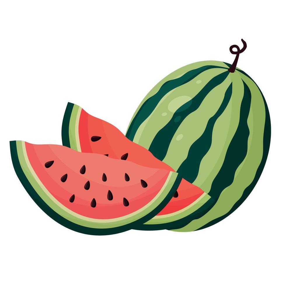 illustratie van een rijpe sappige watermeloen. plakjes watermeloen. vector. vector