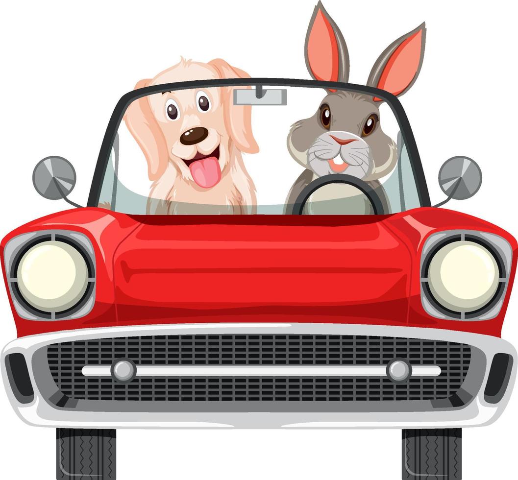 konijn en hond in klassieke rode auto op witte achtergrond vector