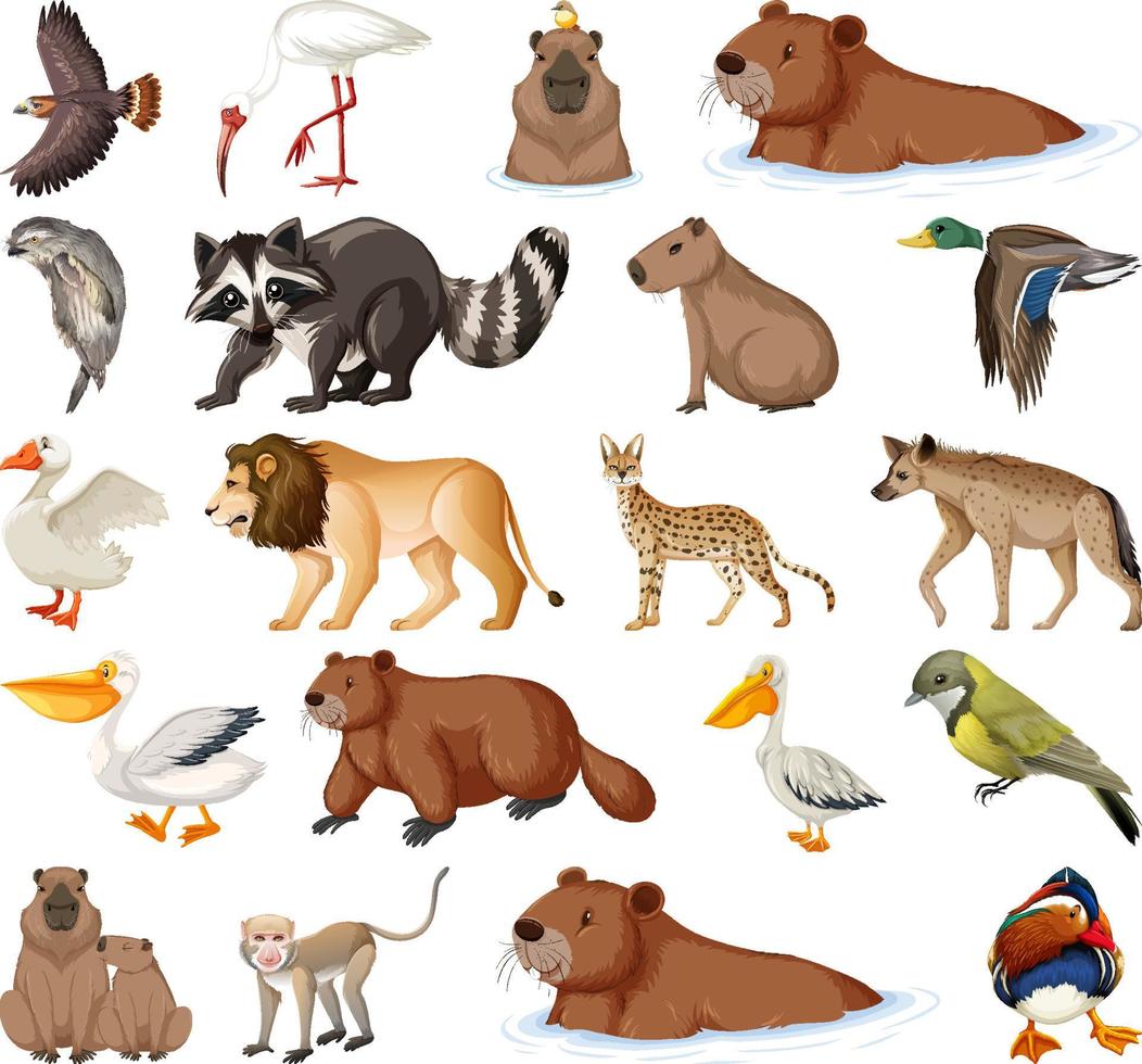 verschillende soorten dieren collectie vector