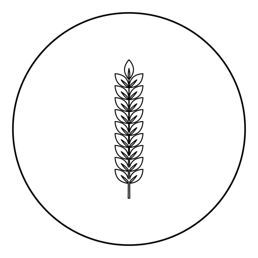 aartje van tarwe plant tak pictogram in cirkel ronde overzicht zwarte kleur vector illustratie vlakke stijl afbeelding