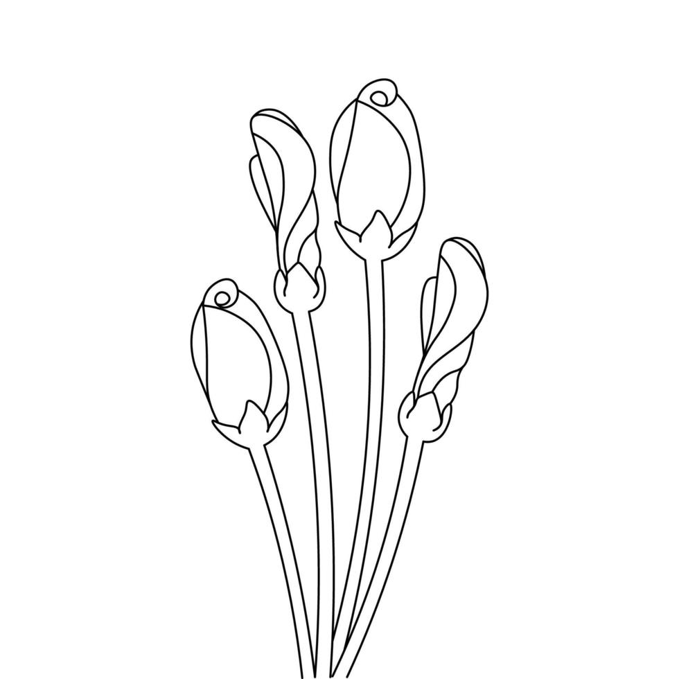 zeer fijne tekeningen tekening bloemvorm overzicht set boeket kleurplaat vector