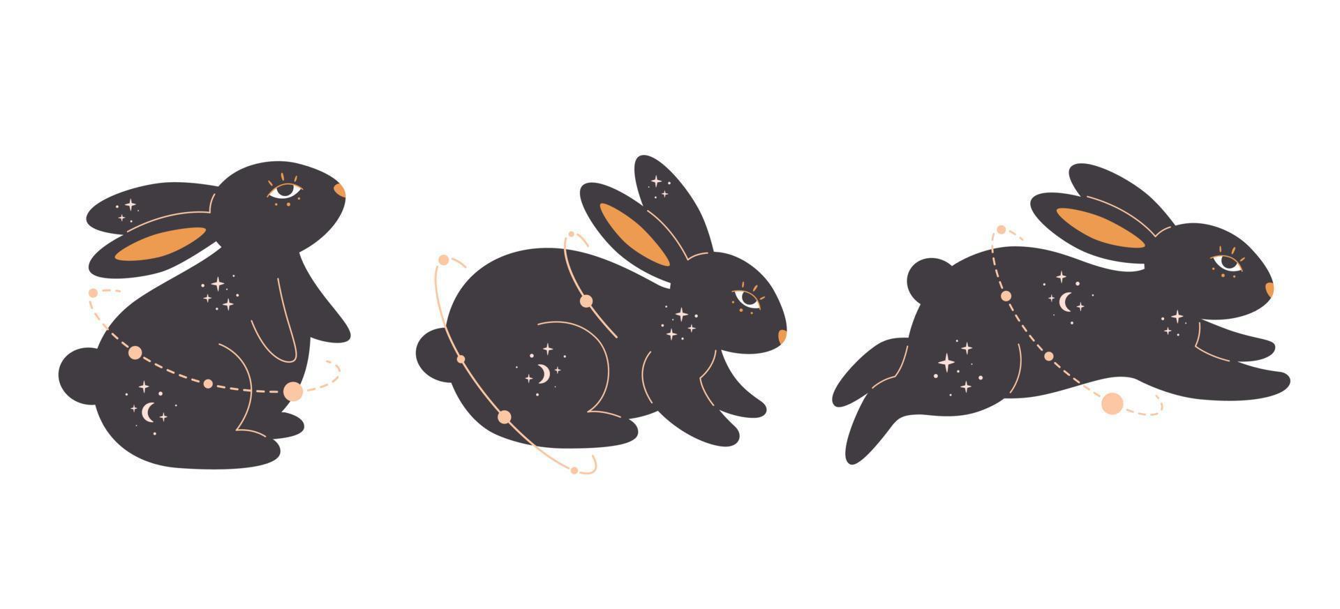 set van konijnen met esoterische, mystieke, goochelaar elementen. jaar van het konijn. vector