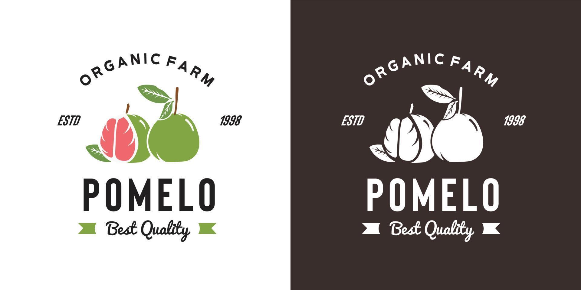 vintage pamelo fruit logo illustratie geschikt voor fruitwinkel en fruitboerderij vector