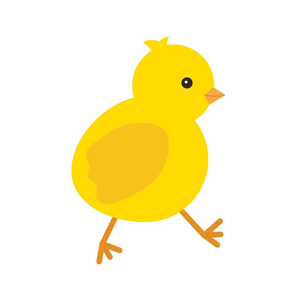 schattige gele babykip voor Pasen-ontwerp. kleine gele cartoon chick. vectorillustratie geïsoleerd op een witte achtergrond vector