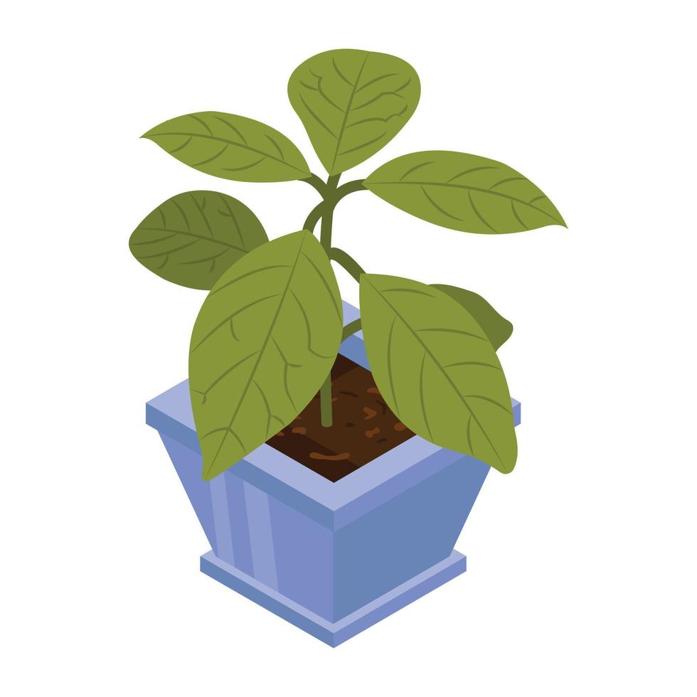huisdecoratie, een isometrisch icoon van plant vector