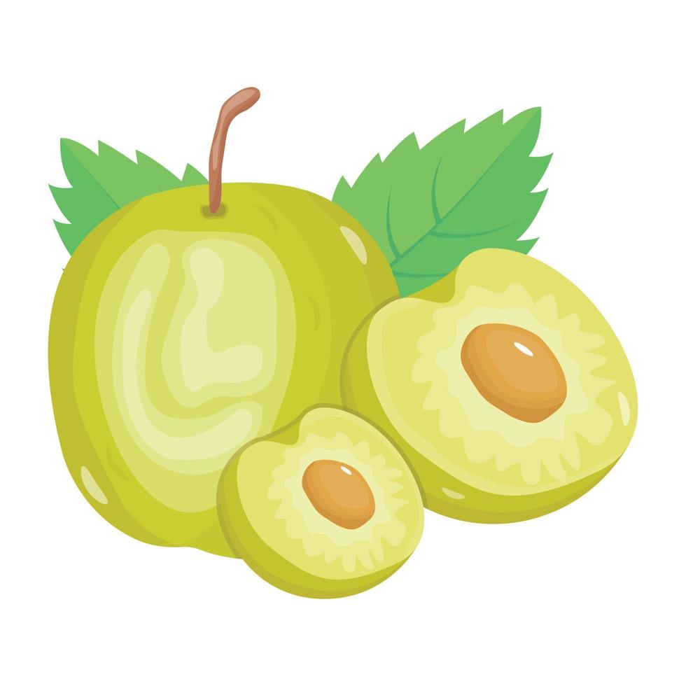 een goed ontworpen isometrisch icoon van jujube apple vector