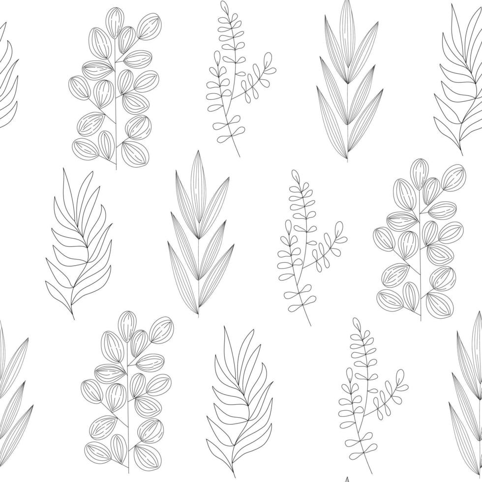 naadloos patroon van verschillende soorten veldgrassen en takken. plant ornament van elementen lijntekeningen. vector