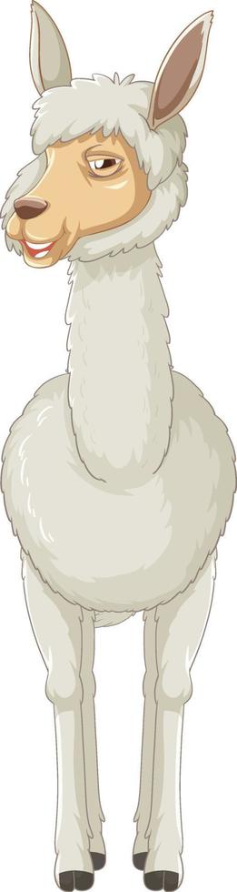 een alpaca op een witte achtergrond vector