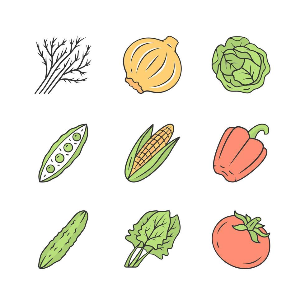 groenten kleur pictogrammen instellen. kool, biet, maïs, tomaat, peper. vitamine en voeding. gezonde voeding. groente boerderij. vegetarisch eten. landbouw plant. geïsoleerde vectorillustraties vector