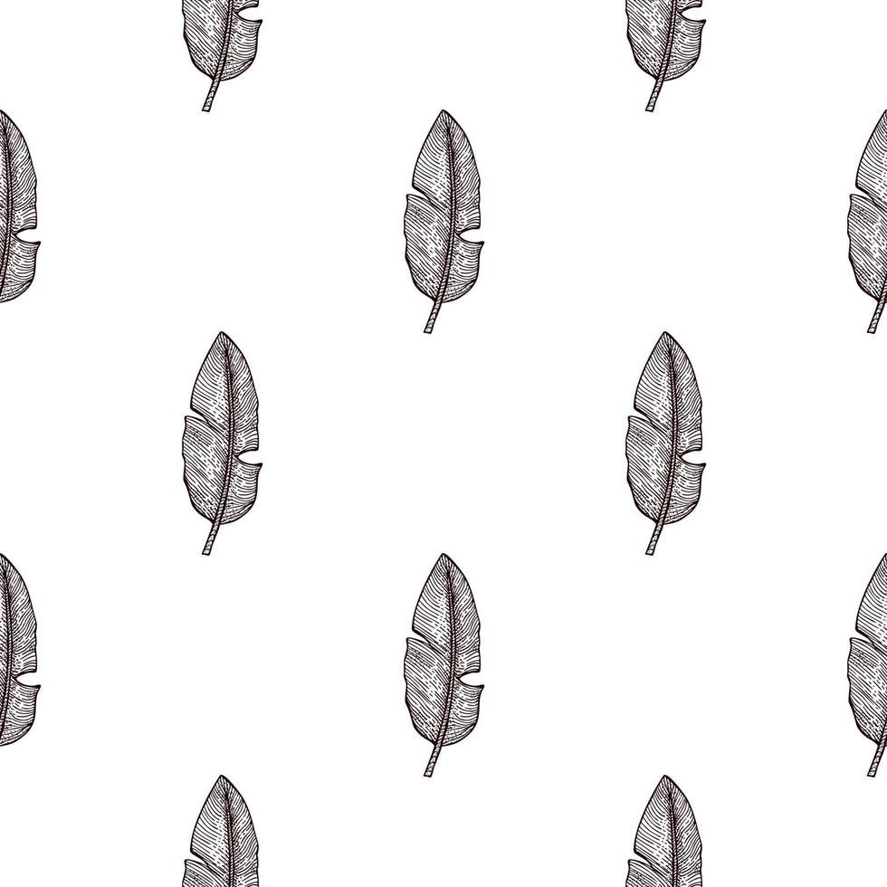 bananenblad naadloze pattern.vintage tropische tak in gravure stijl. vector