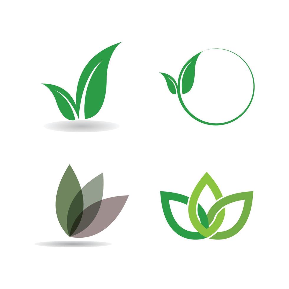 groen blad logo vector