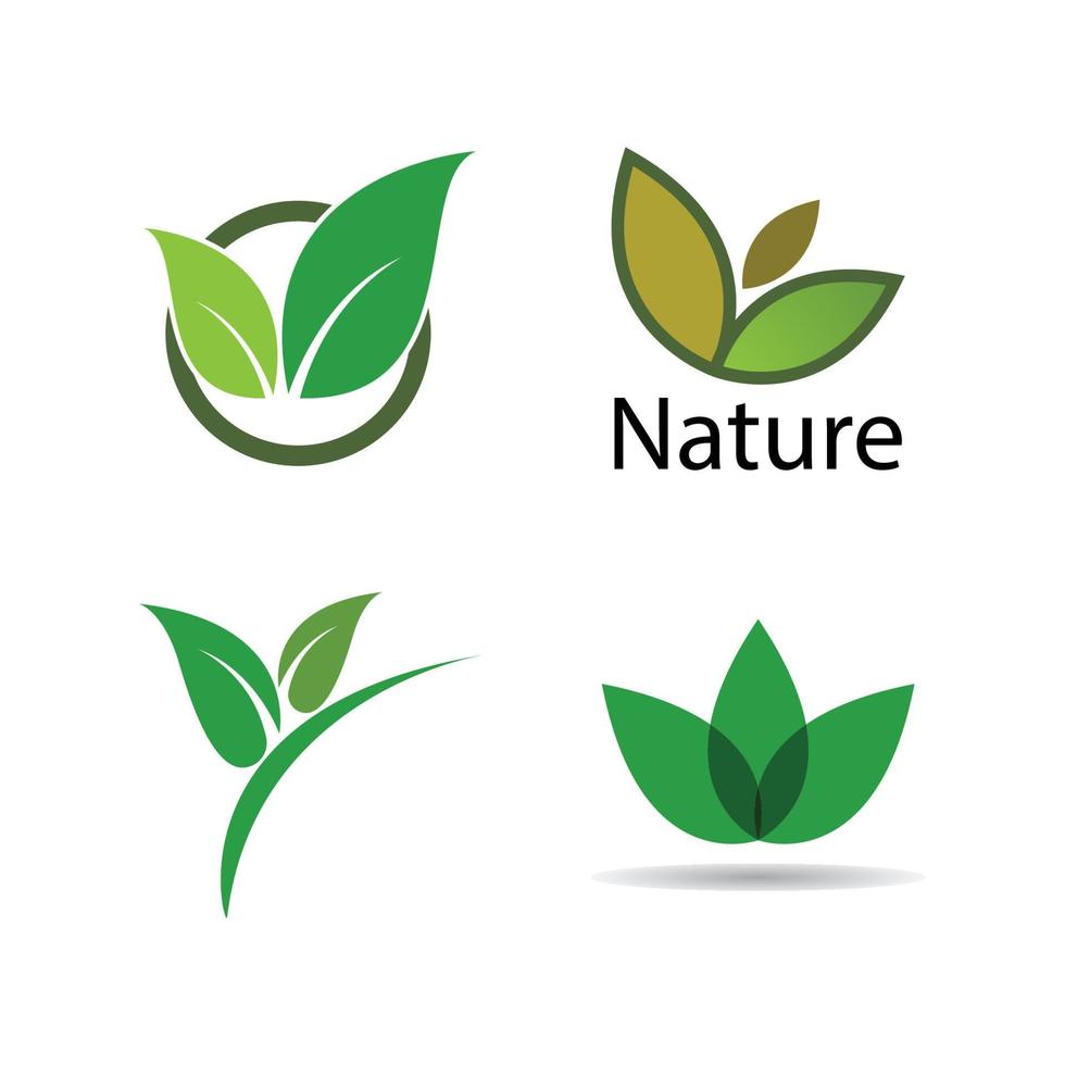 groen blad logo vector