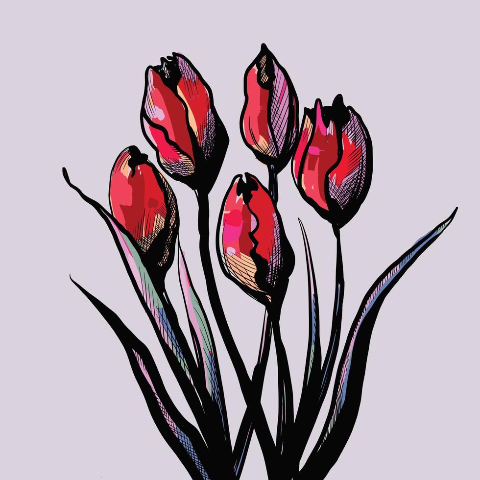 rode tulpen, vector