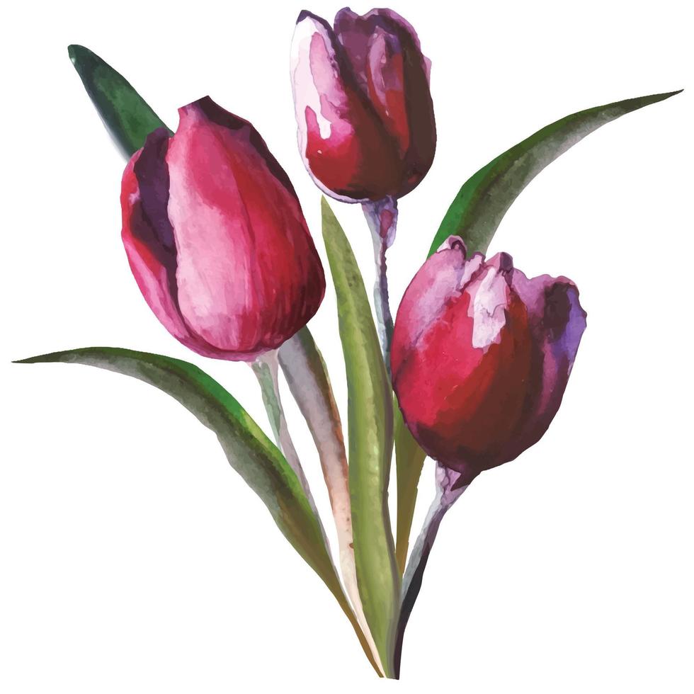 boeket van bloeiende bloemen van rode tulpen, illustratie vector