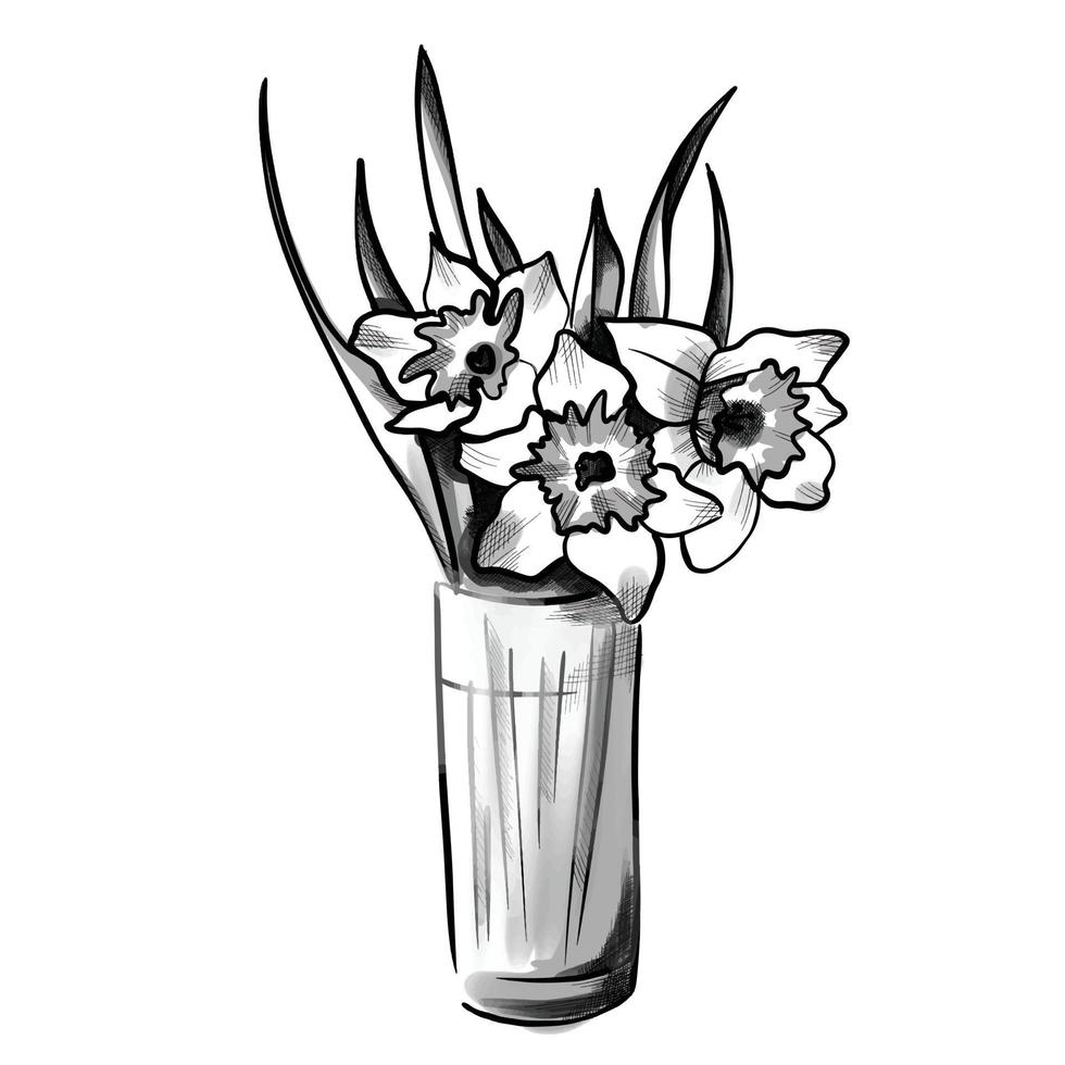 vaas met bloemen. narcis narcis bloempot. geïsoleerde lente boeket overzicht. zwart-wit vectorillustratie. vector
