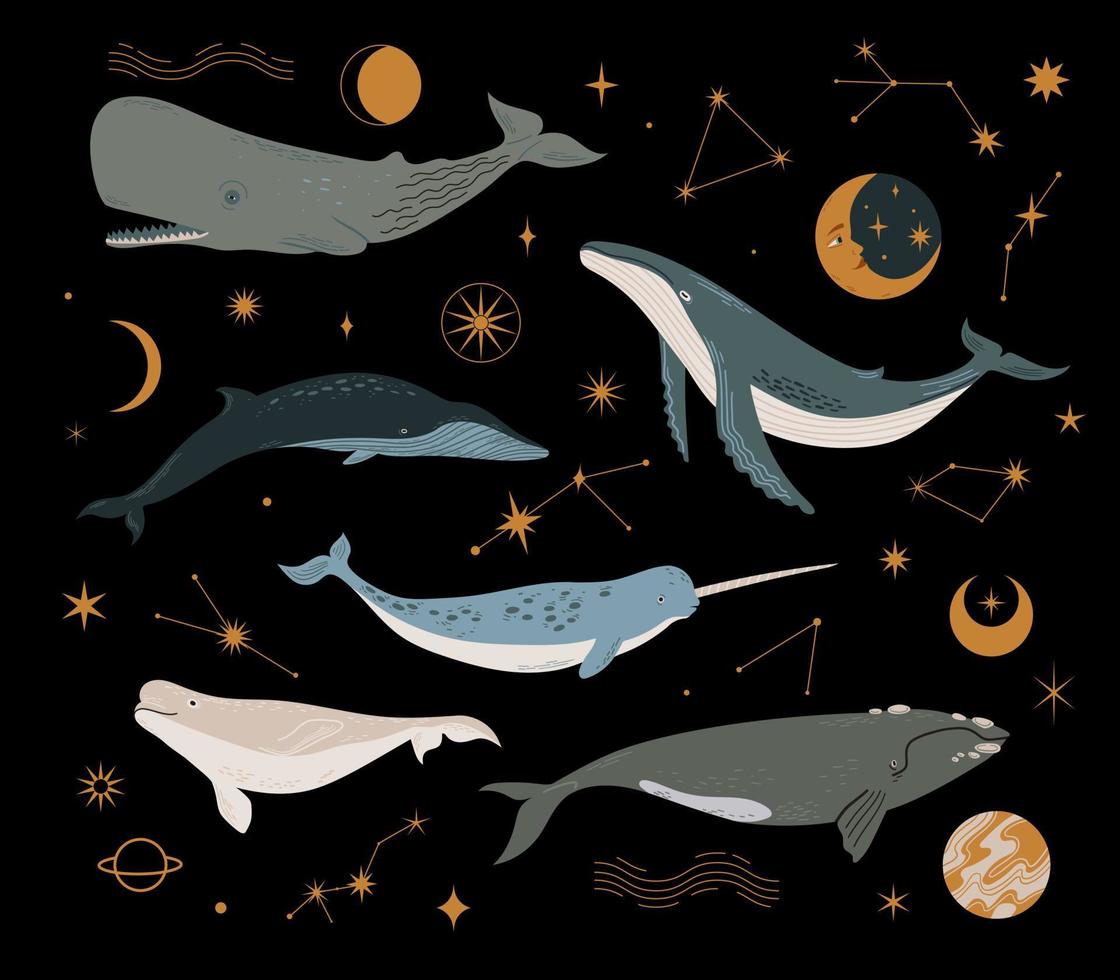 vector set met kosmische walvis, planeten, sterren en sterrenbeeld. verschillende soorten walvissen