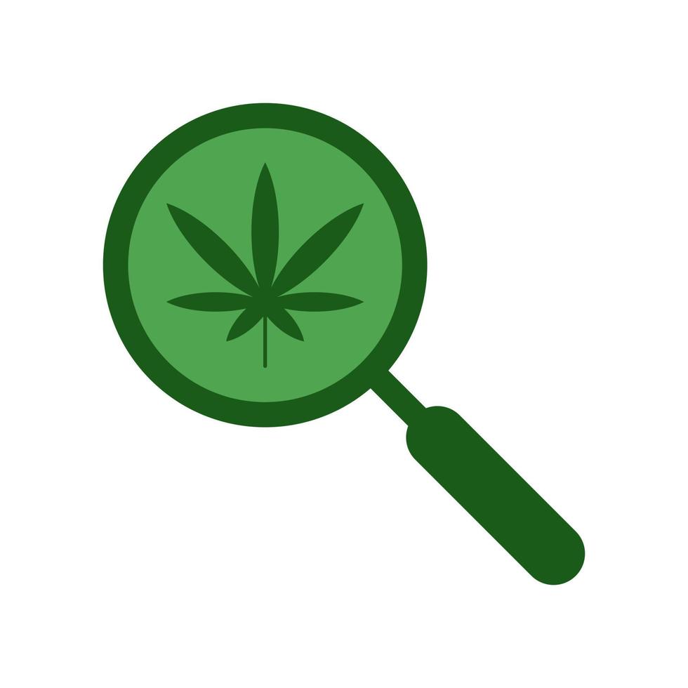cannabis zoek vector pictogram. onkruid vergrootglas