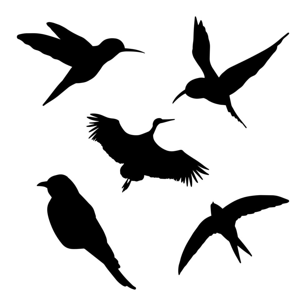 verschillende vogels schaduwvorm, geïsoleerde zwarte dierlijke icon set. eenvoudig vectorsilhouet. kraai, ooievaar, zwaluw, colibri, kraan. vector