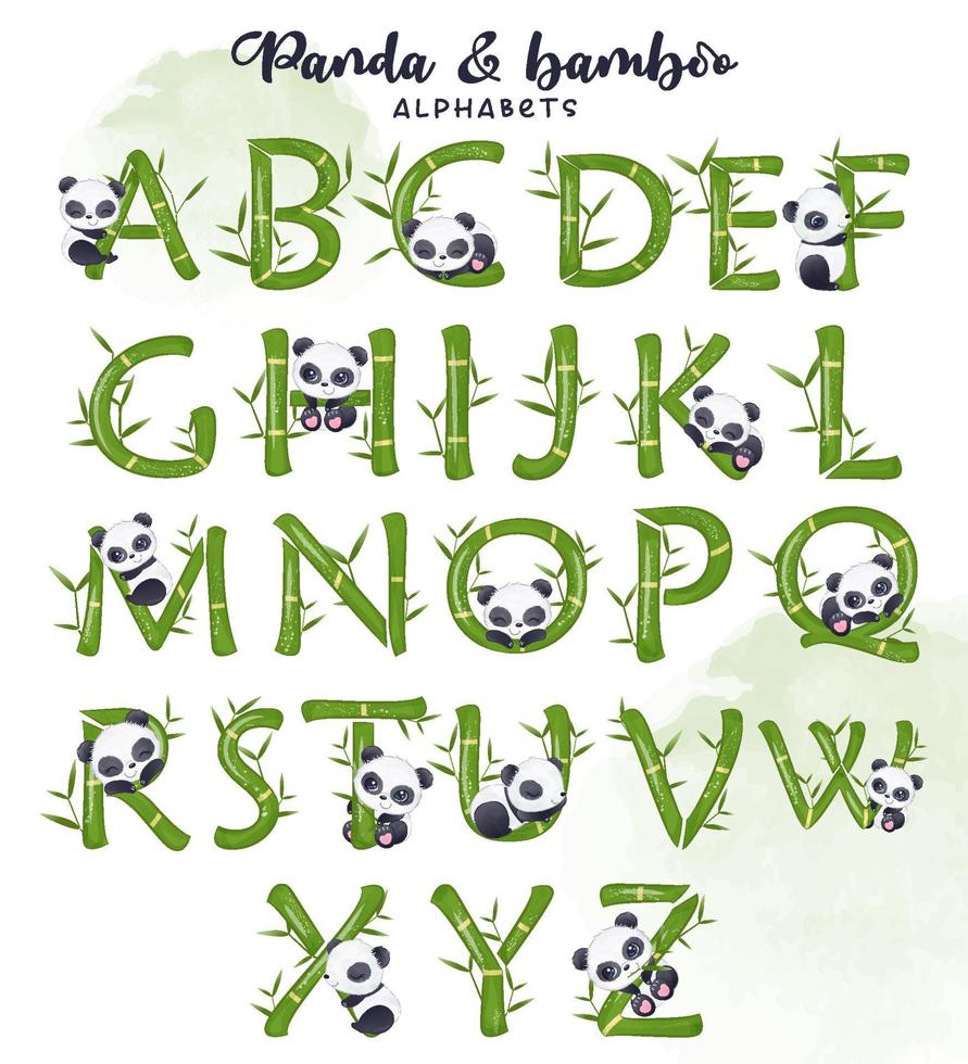 bamboe en panda decoratieve letters vector