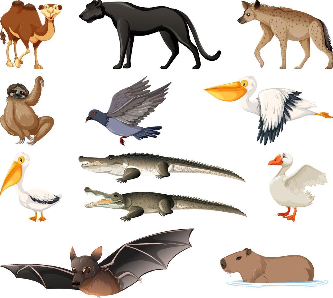 verschillende soorten dieren collectie vector