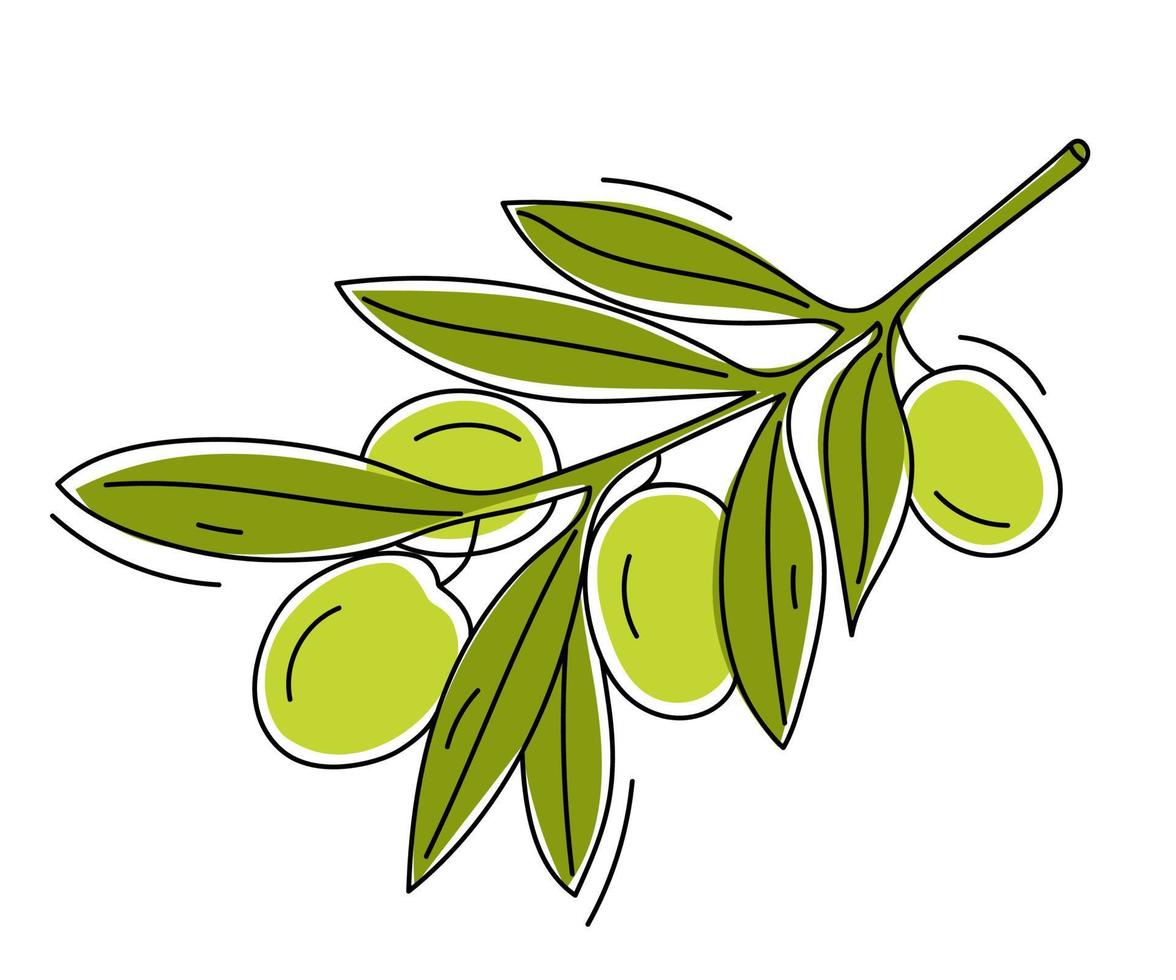 handgetekende tak met groene olijven. vector