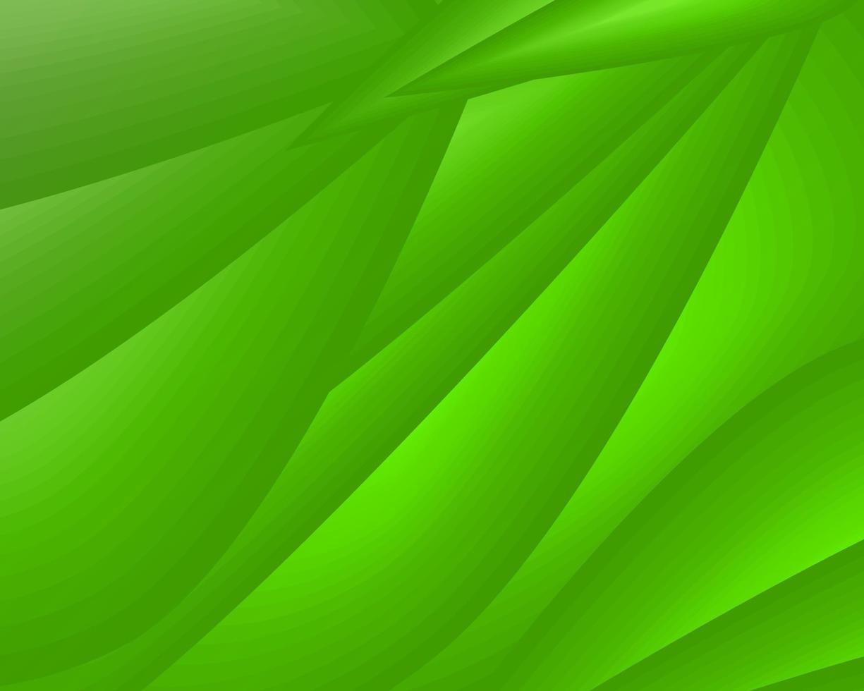 abstracte achtergrond groen blad licht milieu patroon behang achtergrond vector illustratie