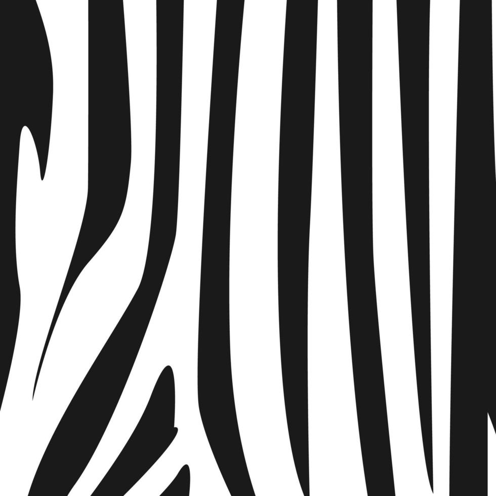 zebrapatroon op witte achtergrond vector