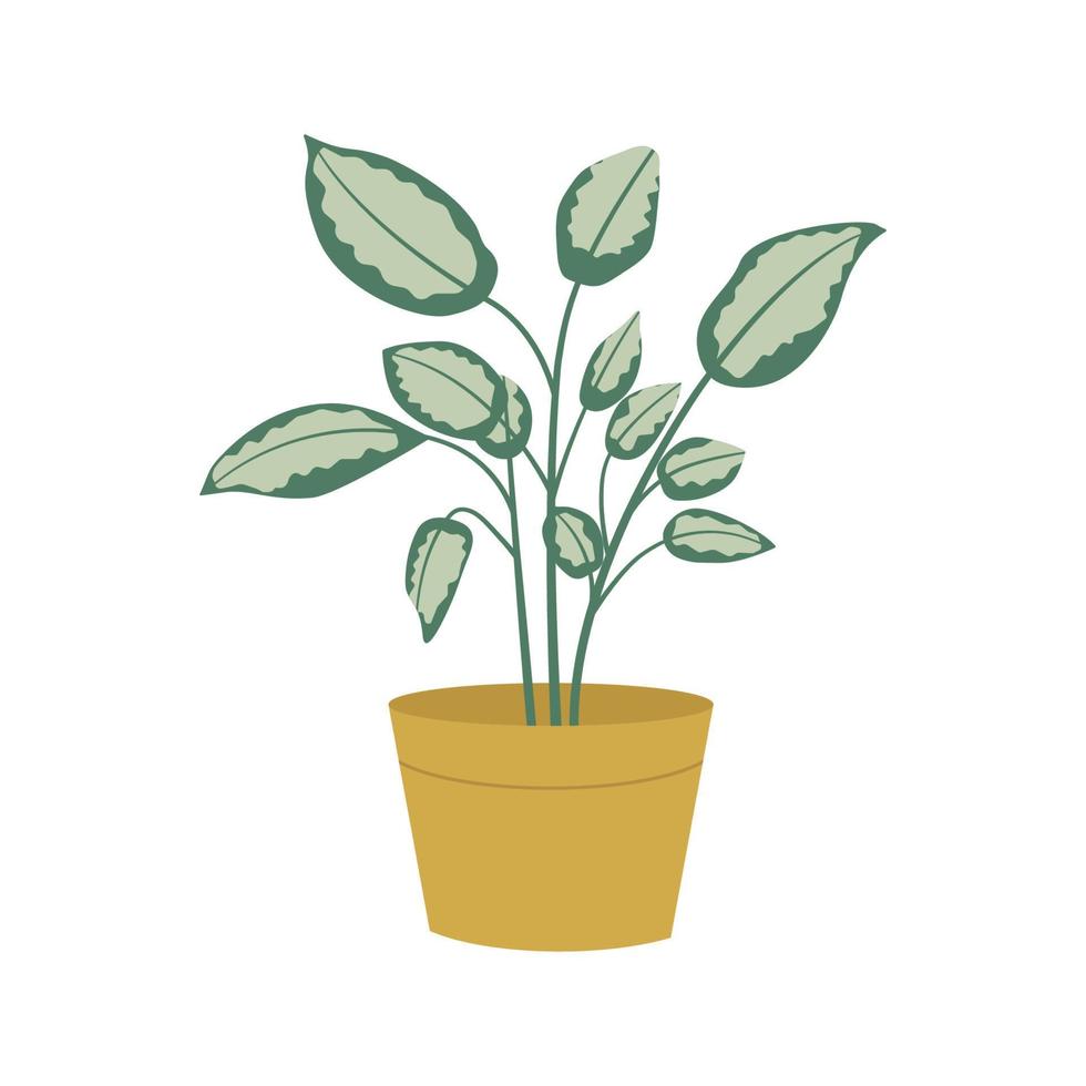 kamerplant in pot of plantenbak. potplant in vlakke stijl geïsoleerd op een witte achtergrond. vector illustratie