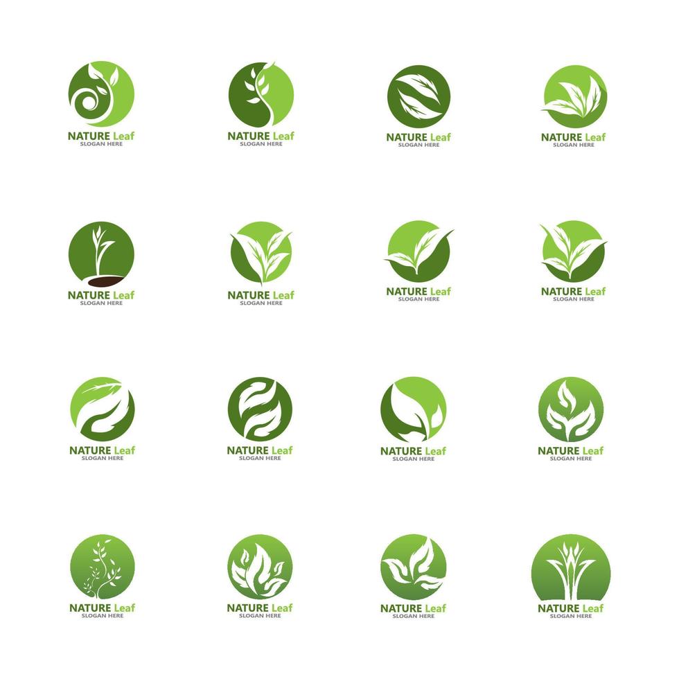 natuur blad pictogram en symbool sjabloon vector