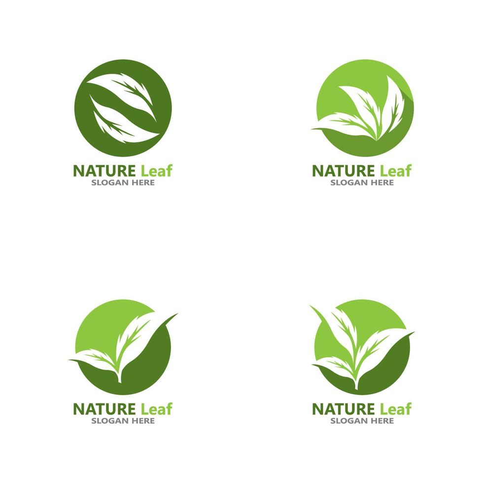 natuur blad pictogram en symbool sjabloon vector