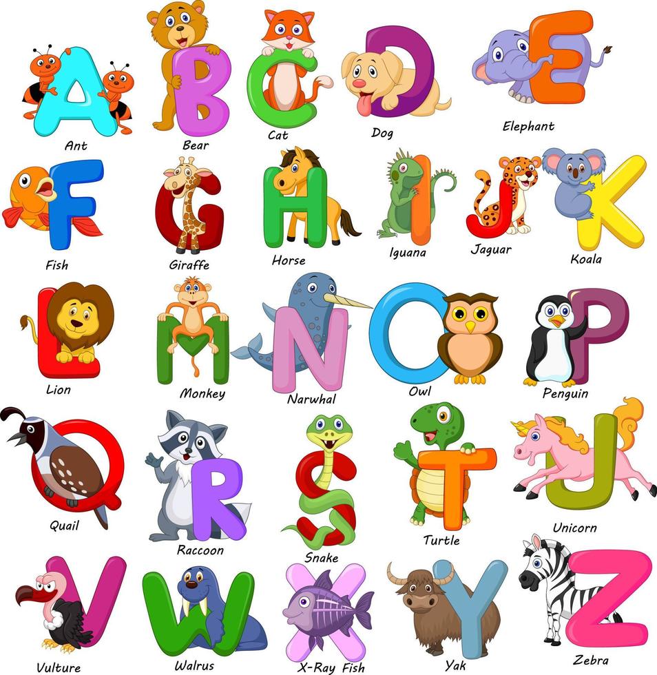 dieren alfabet ingesteld op witte achtergrond vector