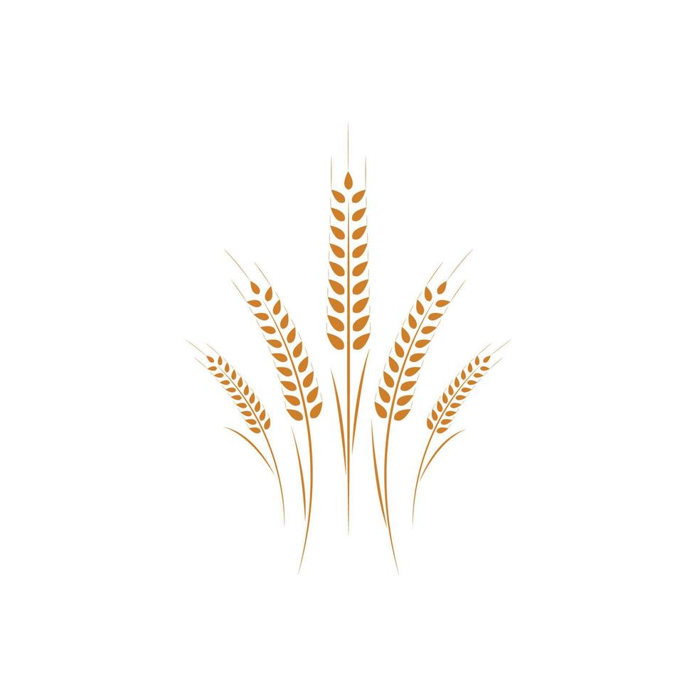 landbouw tarwe logo sjabloon vector