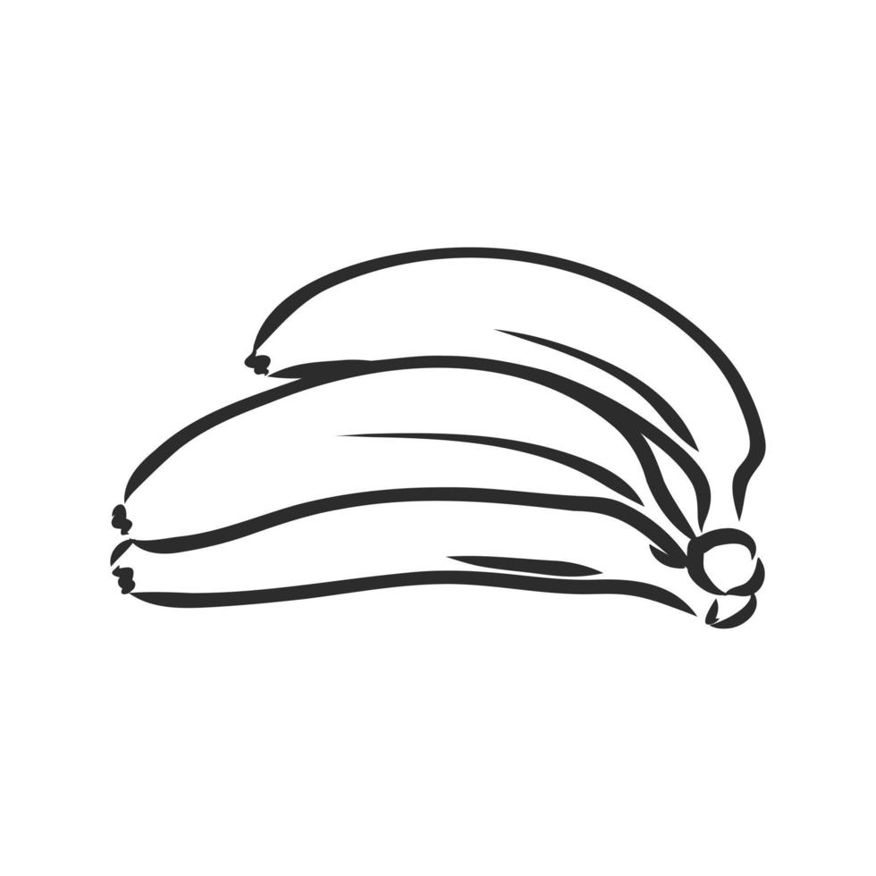 banaan vector schets