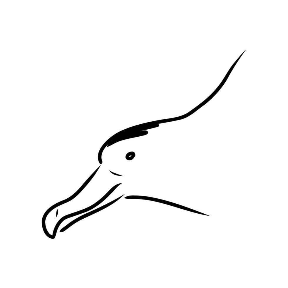 albatros vector schets