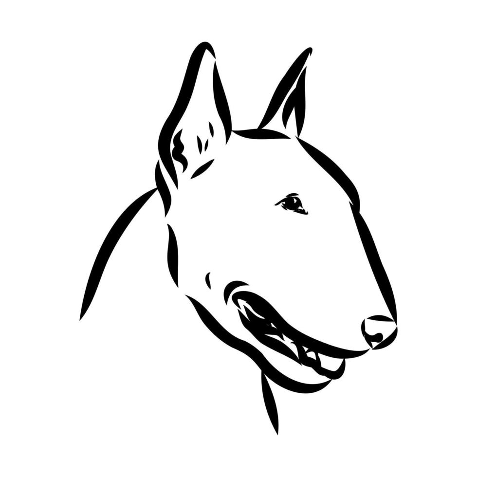 bull terrier vector schets