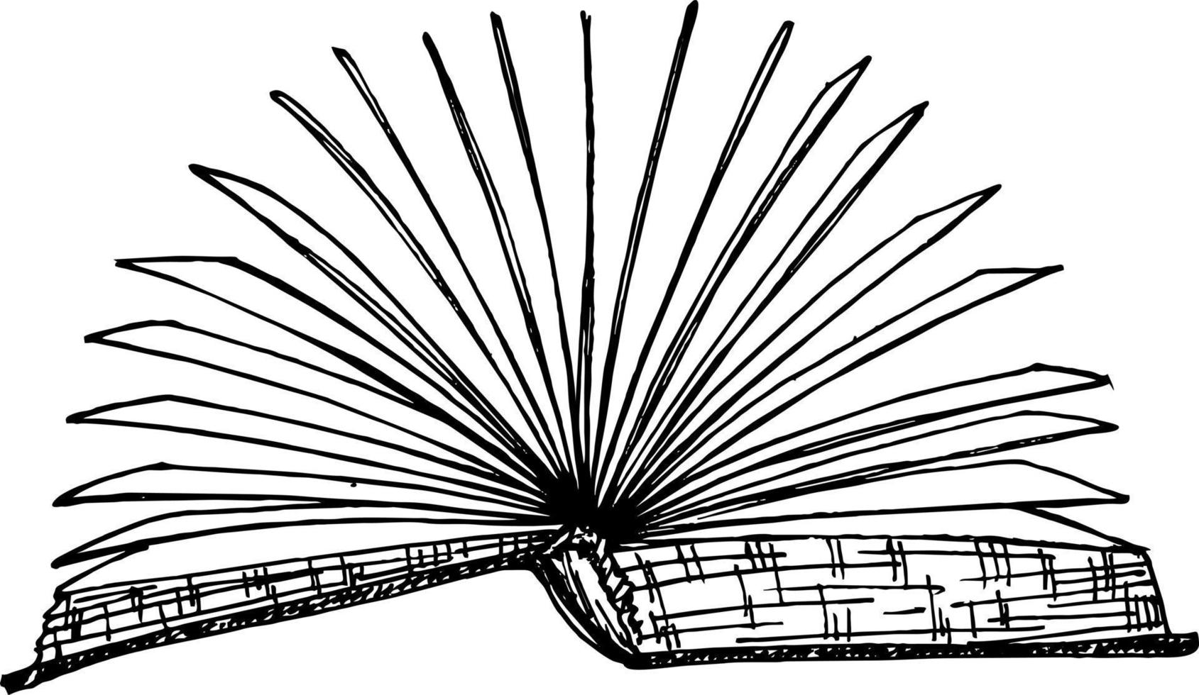 boek open schets zijaanzicht vector