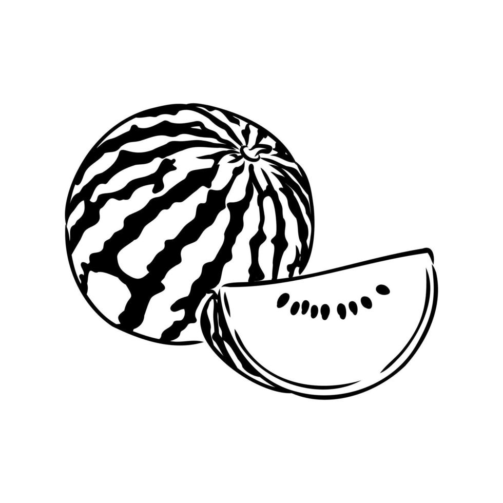 watermeloen vector schets