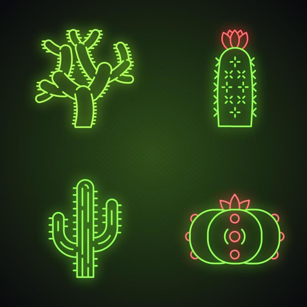 wilde cactussen neonlicht pictogrammen instellen. Amerikaanse tropische planten. vetplanten. saguaro, peyote, egel, teddybeercactussen. gloeiende borden. geïsoleerde vectorillustraties vector