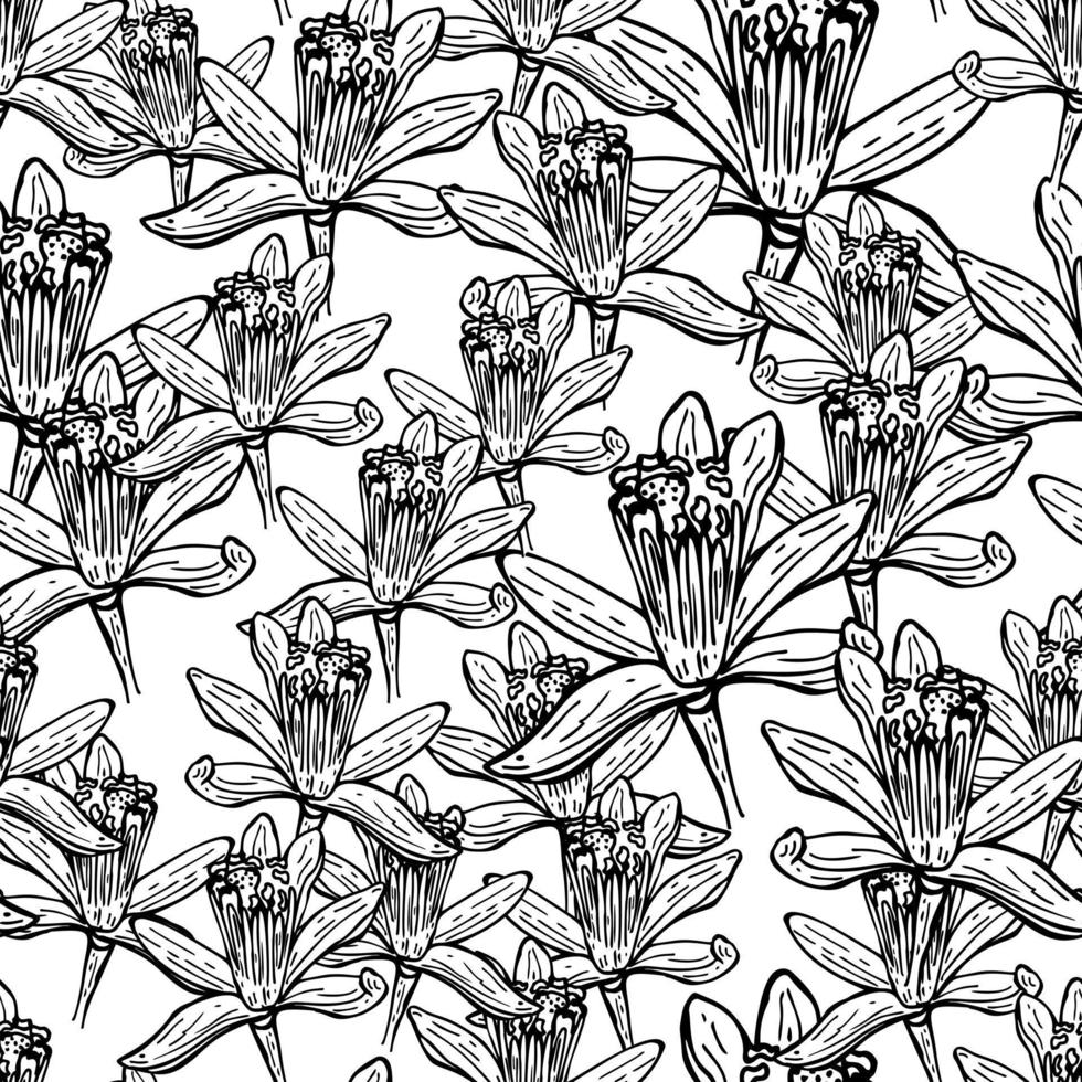 naadloze patroon bloemen gegraveerd. vintage achtergrond van tuin bloemen in de hand getekende stijl. vector