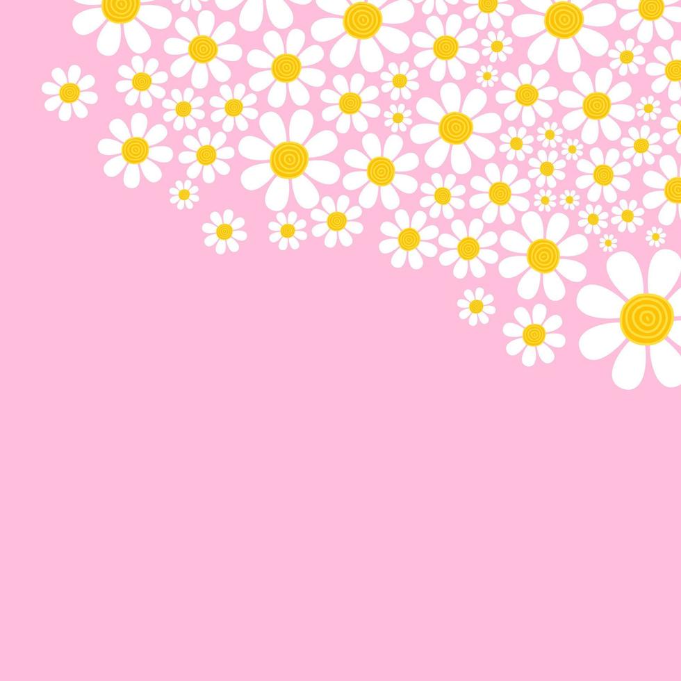 mooie roze bloemen madeliefje paginarand vector