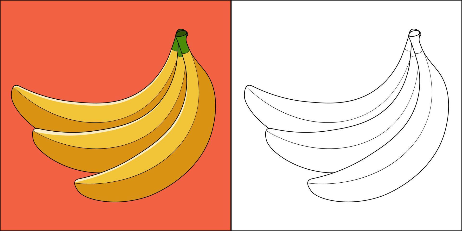 bananenfruit geschikt voor kinder kleurplaten pagina vectorillustratie vector
