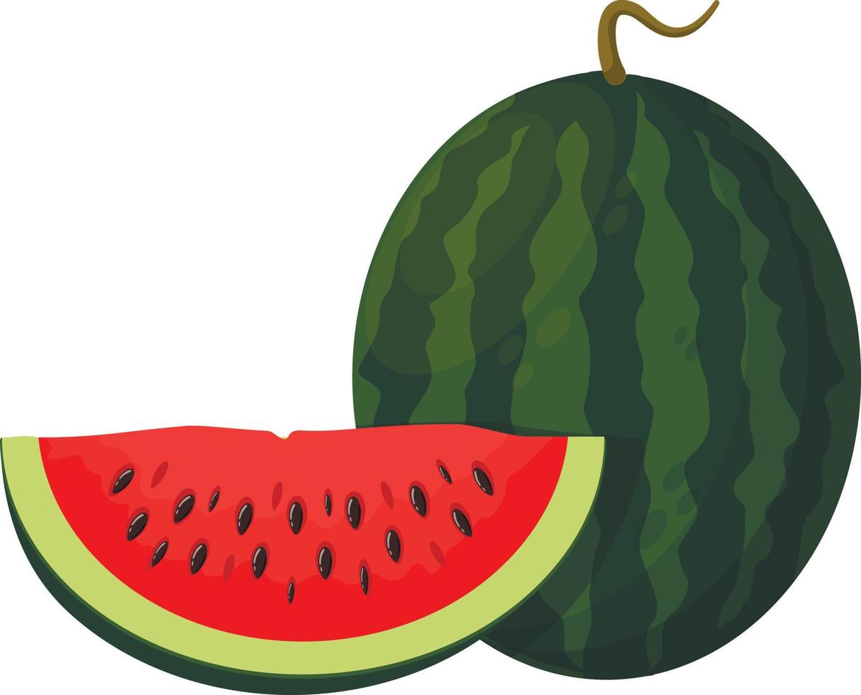 zomerfruit voor een gezonde levensstijl. watermeloen, heel fruit en plak. vector illustratie cartoon pictogram geïsoleerd op wit.