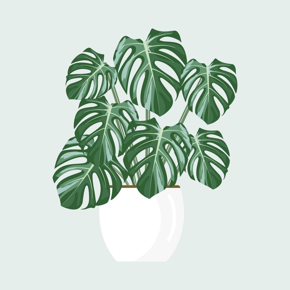 monstera op pot vectorontwerp. vector