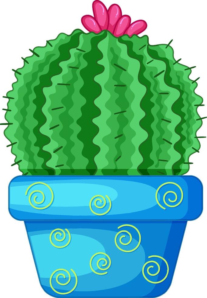 cactus in een pot geïsoleerd vector